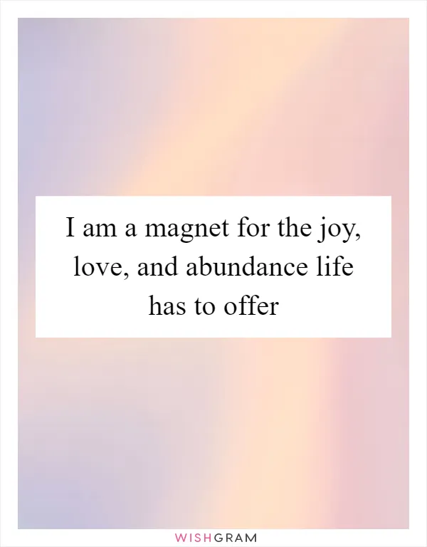 I am a magnet for the joy, love, and abundance life has to offer