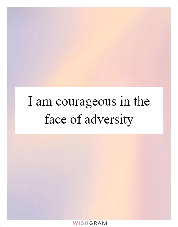 I am courageous in the face of adversity