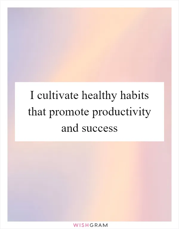 I cultivate healthy habits that promote productivity and success