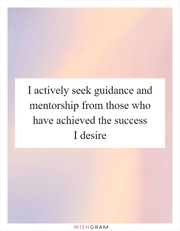 I actively seek guidance and mentorship from those who have achieved the success I desire