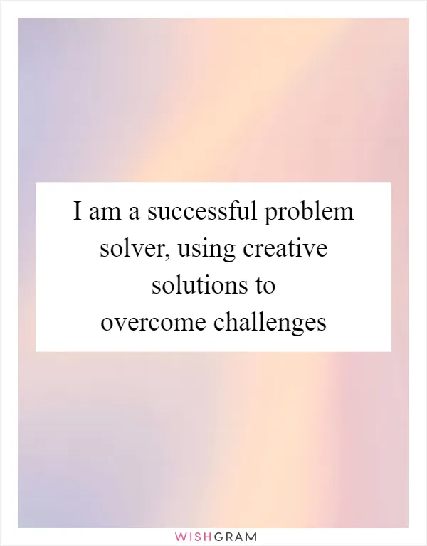 I am a successful problem solver, using creative solutions to overcome challenges