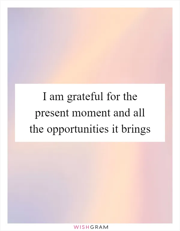 I am grateful for the present moment and all the opportunities it brings