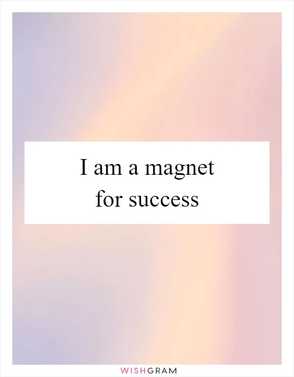 I am a magnet for success