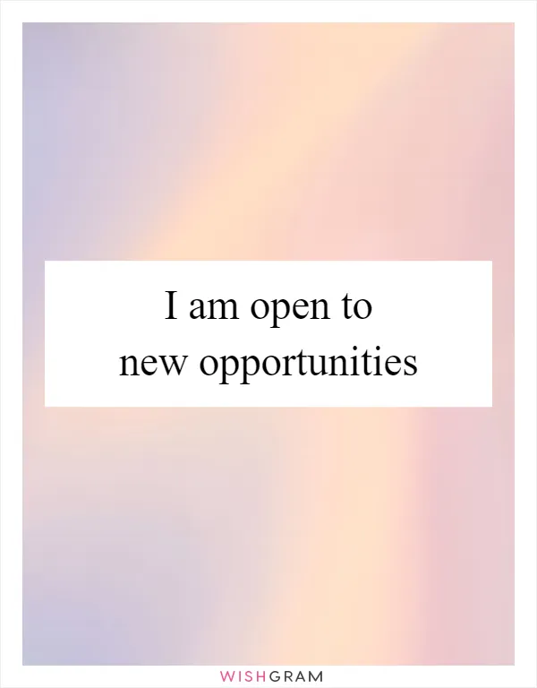 I am open to new opportunities