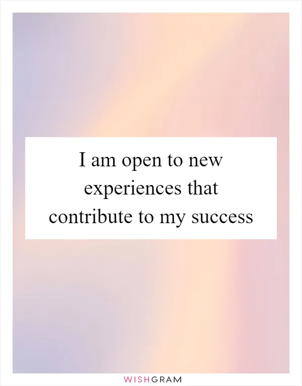 I am open to new experiences that contribute to my success