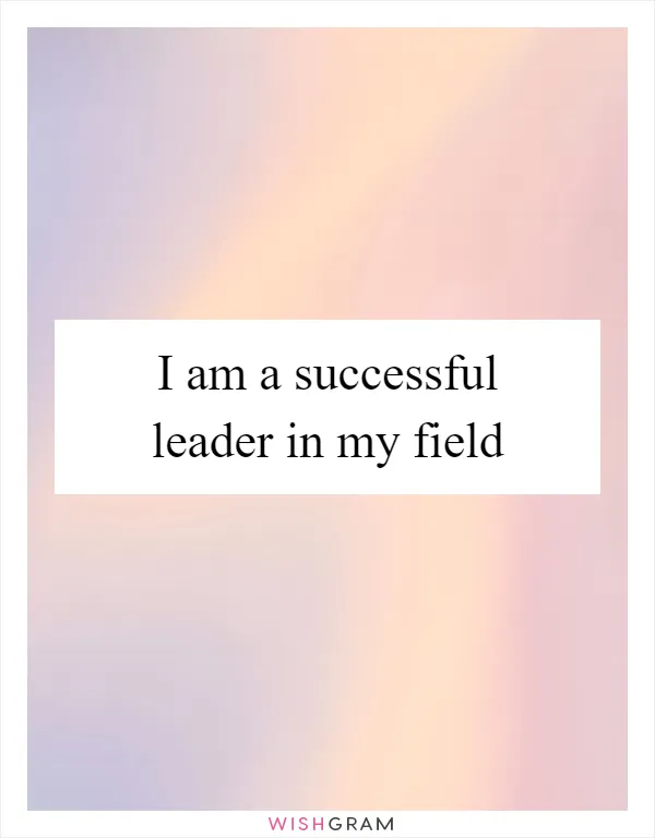 I am a successful leader in my field