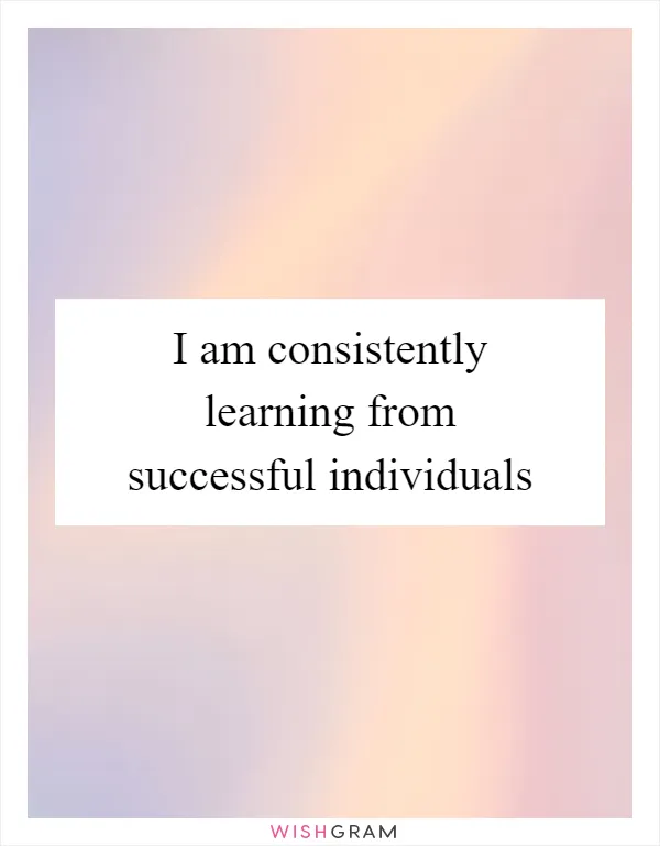 I am consistently learning from successful individuals