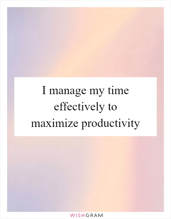 I manage my time effectively to maximize productivity