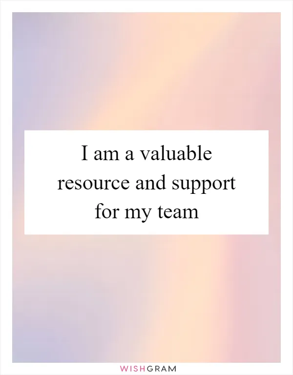 I am a valuable resource and support for my team