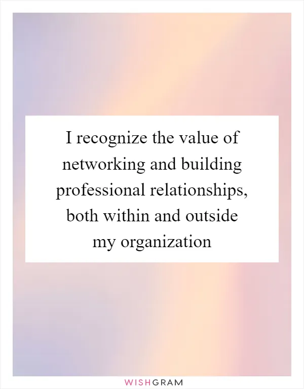 I recognize the value of networking and building professional relationships, both within and outside my organization