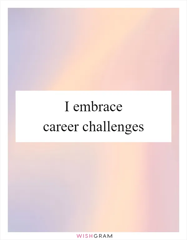 I embrace career challenges