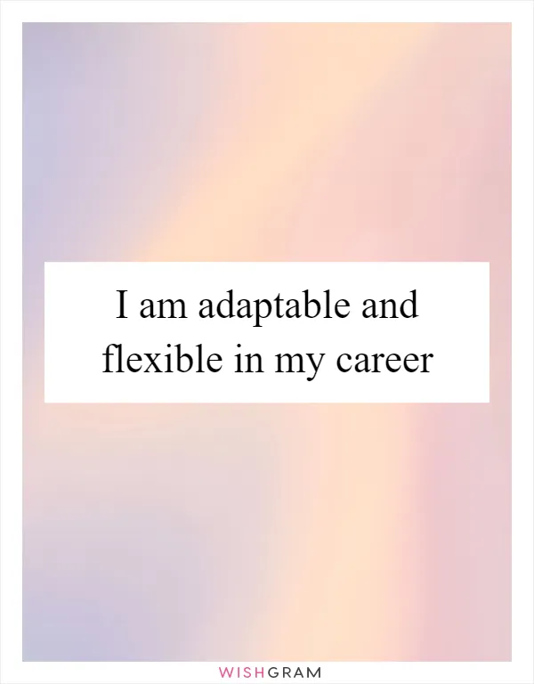 I am adaptable and flexible in my career