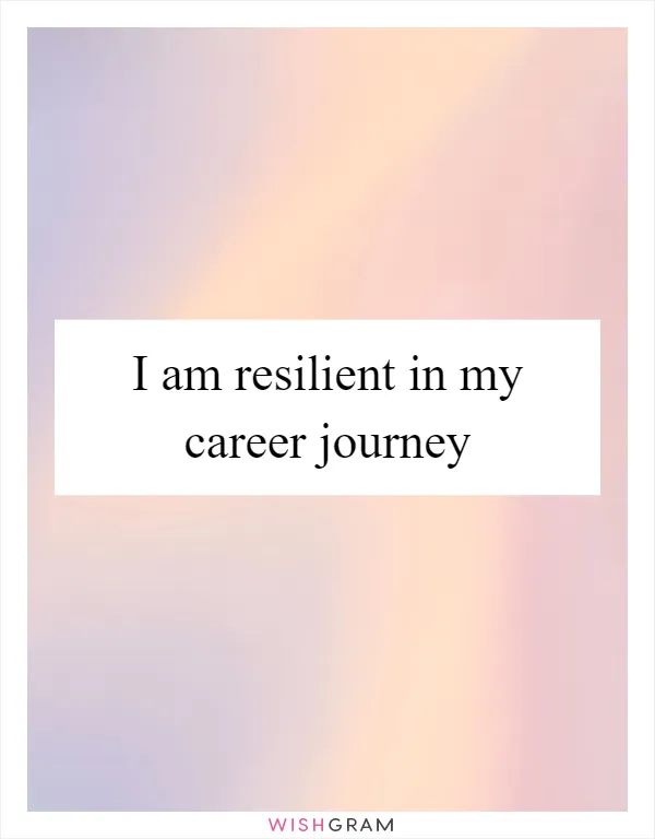 I am resilient in my career journey