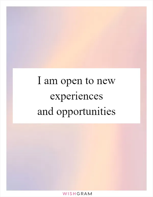 I am open to new experiences and opportunities