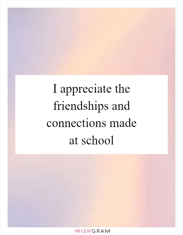 I appreciate the friendships and connections made at school