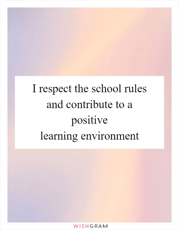 I respect the school rules and contribute to a positive learning environment