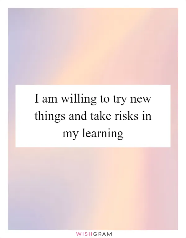 I am willing to try new things and take risks in my learning