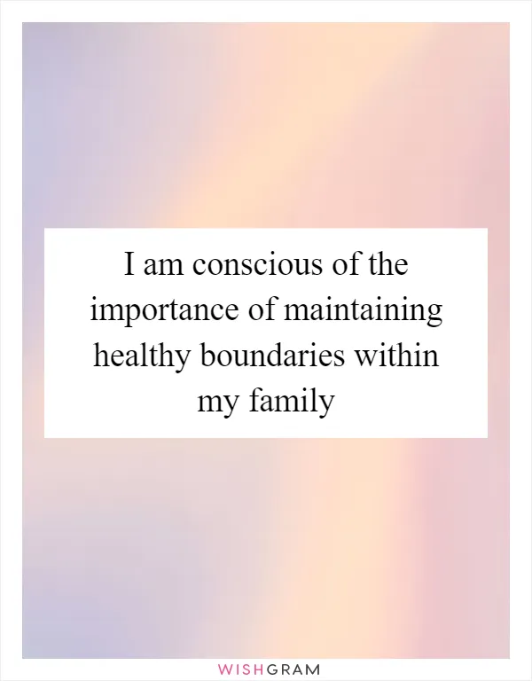 I am conscious of the importance of maintaining healthy boundaries within my family