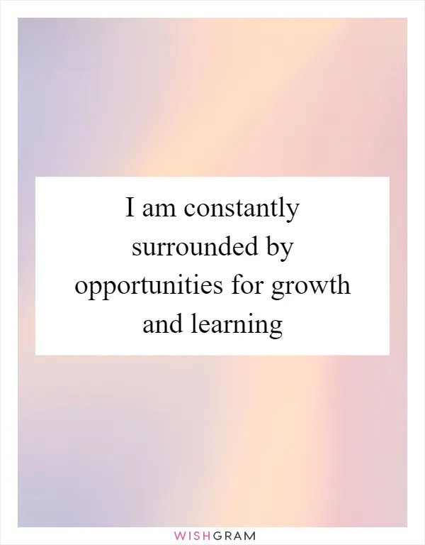 I am constantly surrounded by opportunities for growth and learning