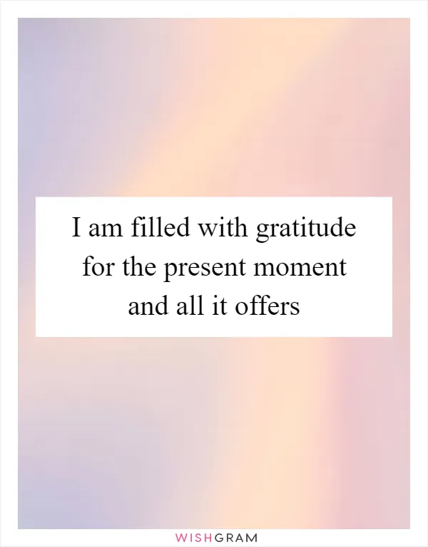 I am filled with gratitude for the present moment and all it offers