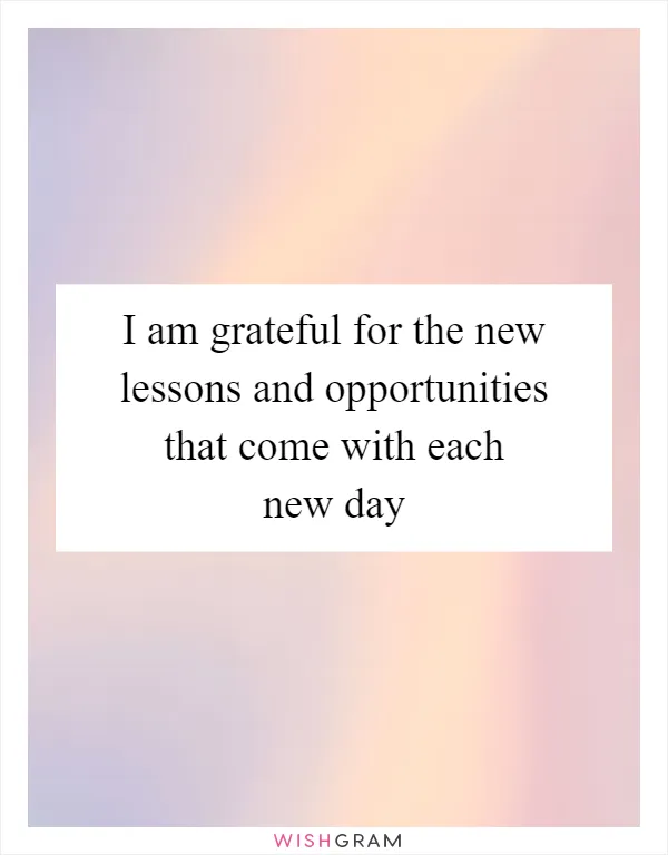 I am grateful for the new lessons and opportunities that come with each new day