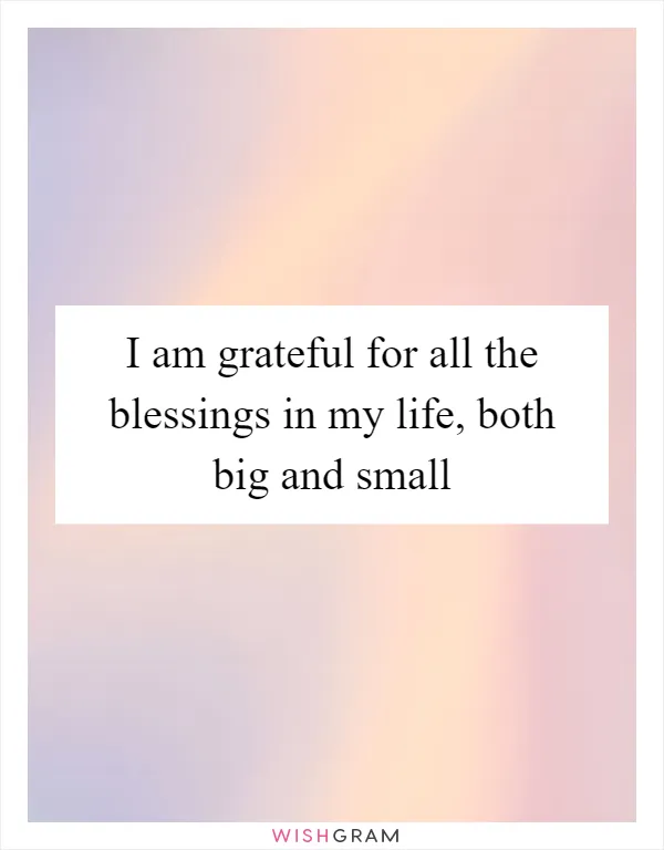 I am grateful for all the blessings in my life, both big and small