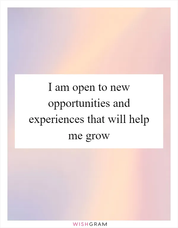 I am open to new opportunities and experiences that will help me grow