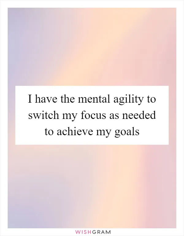 I have the mental agility to switch my focus as needed to achieve my goals
