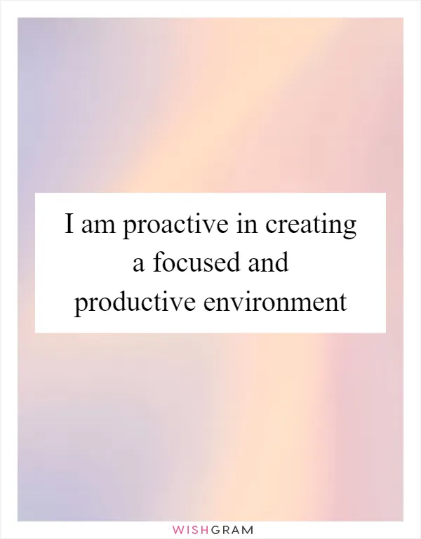 I am proactive in creating a focused and productive environment
