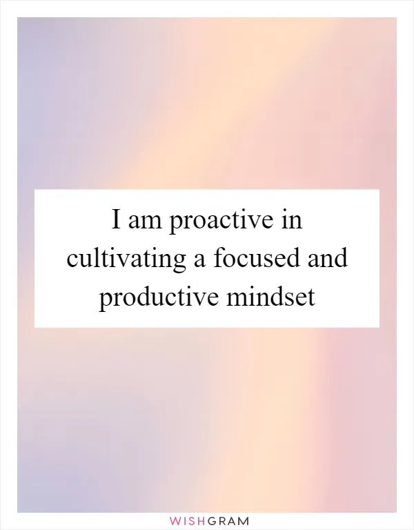 I am proactive in cultivating a focused and productive mindset