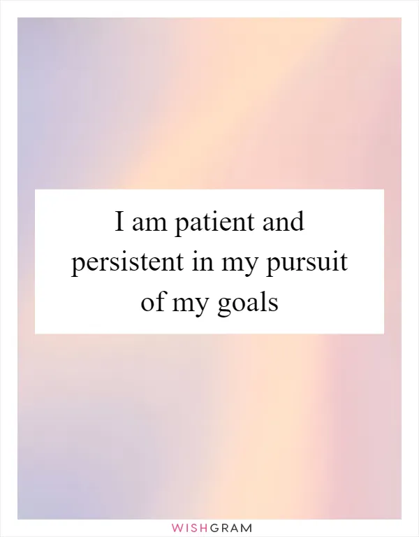 I am patient and persistent in my pursuit of my goals