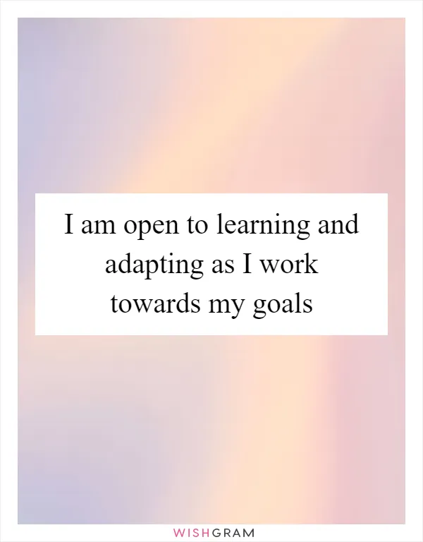 I am open to learning and adapting as I work towards my goals