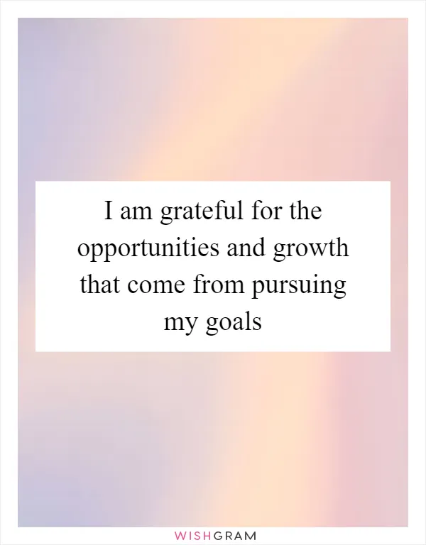 I am grateful for the opportunities and growth that come from pursuing my goals