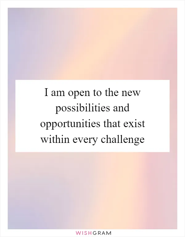 I am open to the new possibilities and opportunities that exist within every challenge