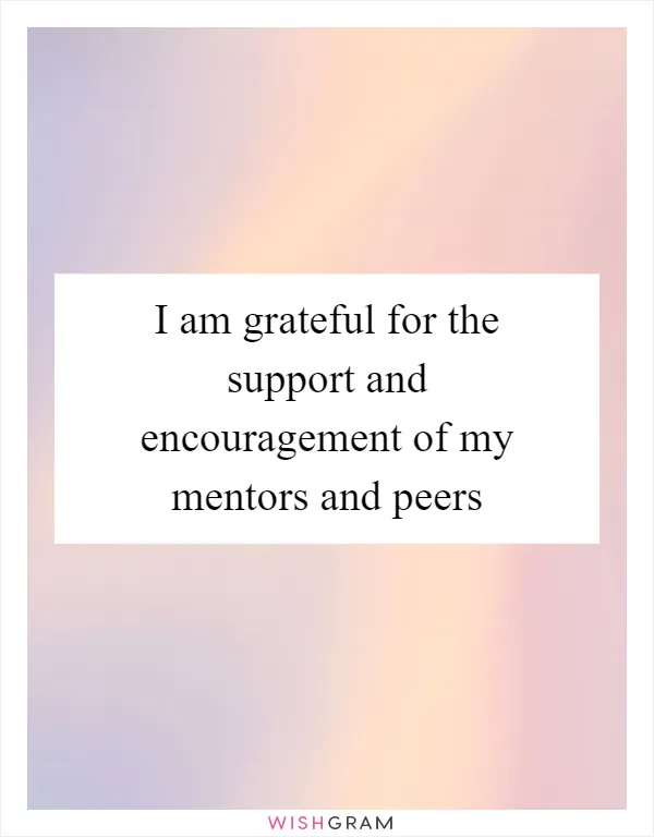 I am grateful for the support and encouragement of my mentors and peers