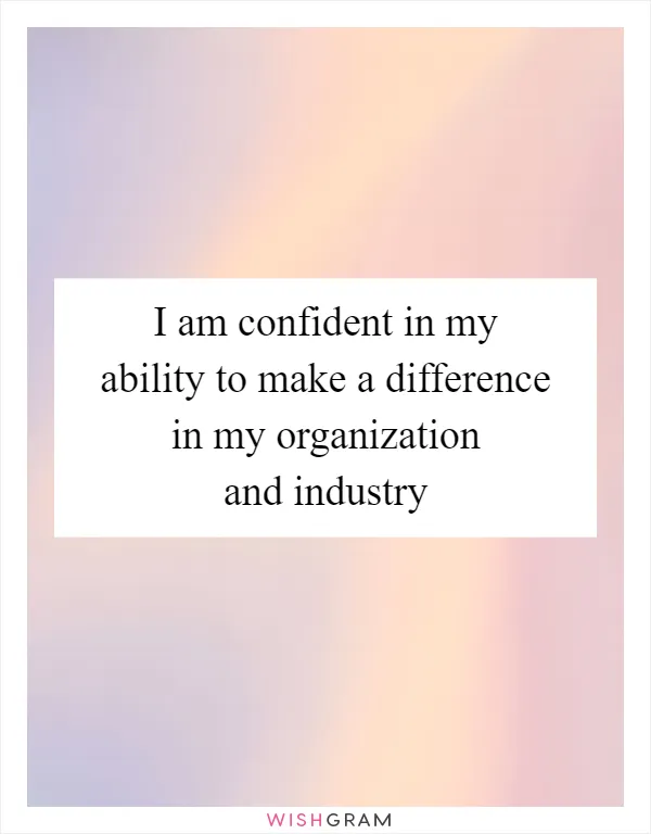 I am confident in my ability to make a difference in my organization and industry