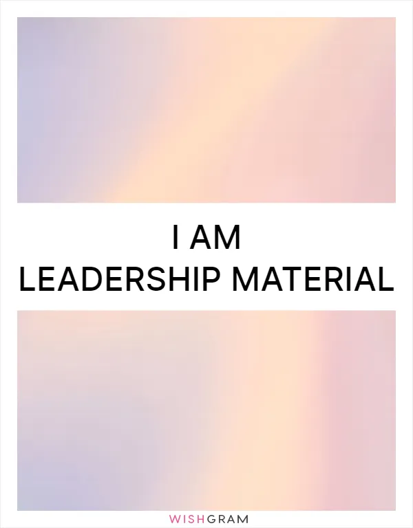 I am leadership material