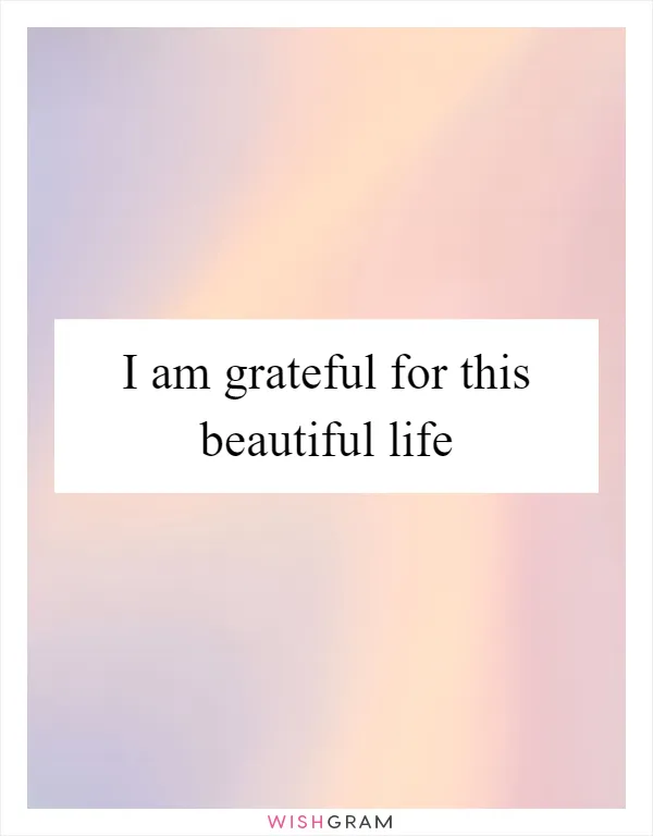 I am grateful for this beautiful life