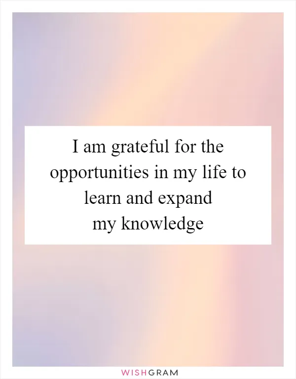 I am grateful for the opportunities in my life to learn and expand my knowledge