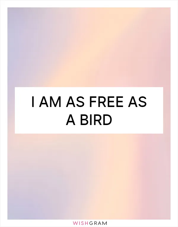 I am as free as a bird