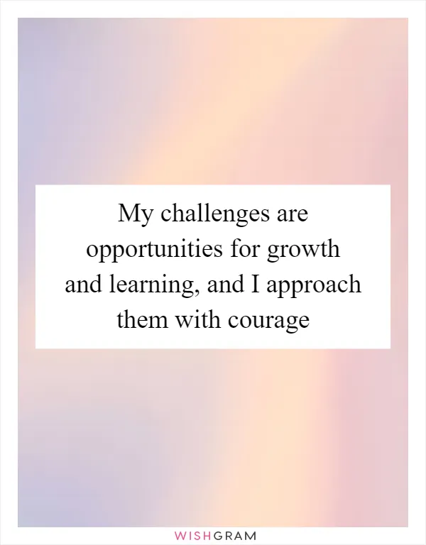 My challenges are opportunities for growth and learning, and I approach them with courage