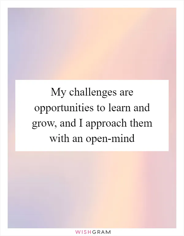 My challenges are opportunities to learn and grow, and I approach them with an open-mind