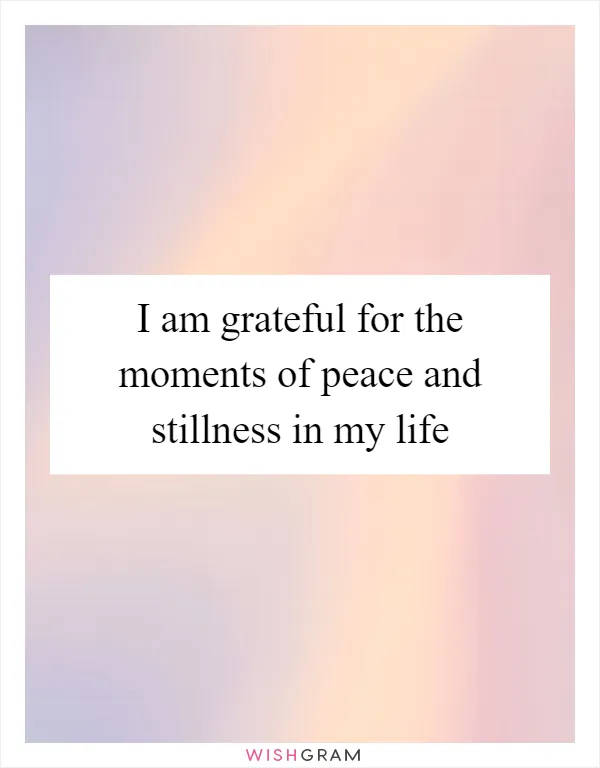 I am grateful for the moments of peace and stillness in my life