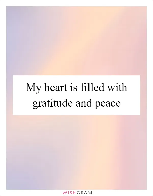 My heart is filled with gratitude and peace