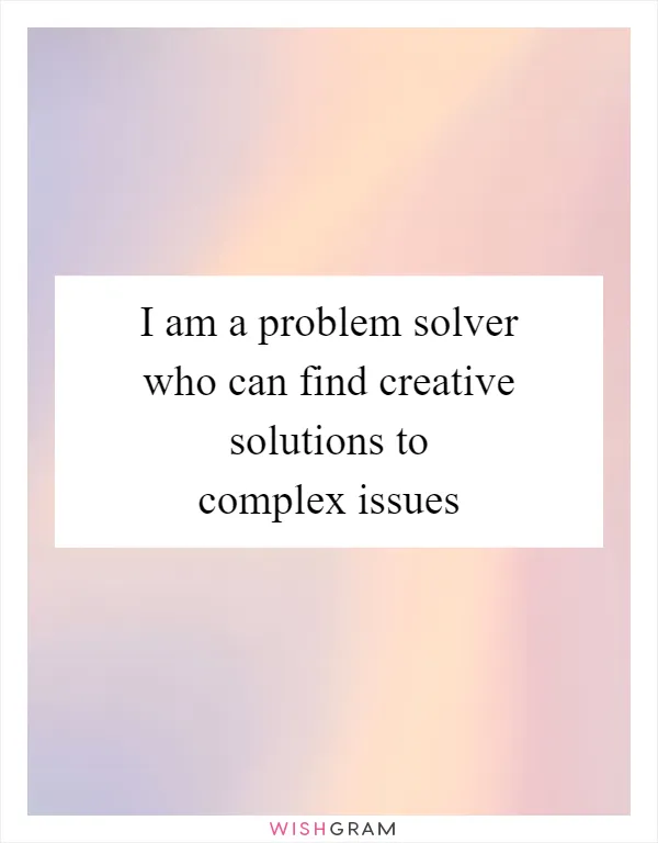 I am a problem solver who can find creative solutions to complex issues