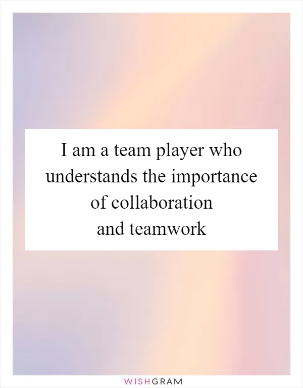 I am a team player who understands the importance of collaboration and teamwork