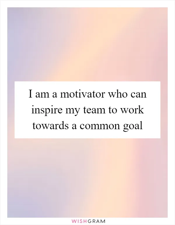 I am a motivator who can inspire my team to work towards a common goal