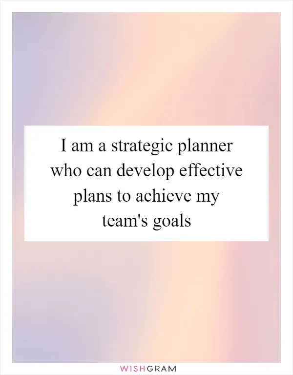 I am a strategic planner who can develop effective plans to achieve my team's goals