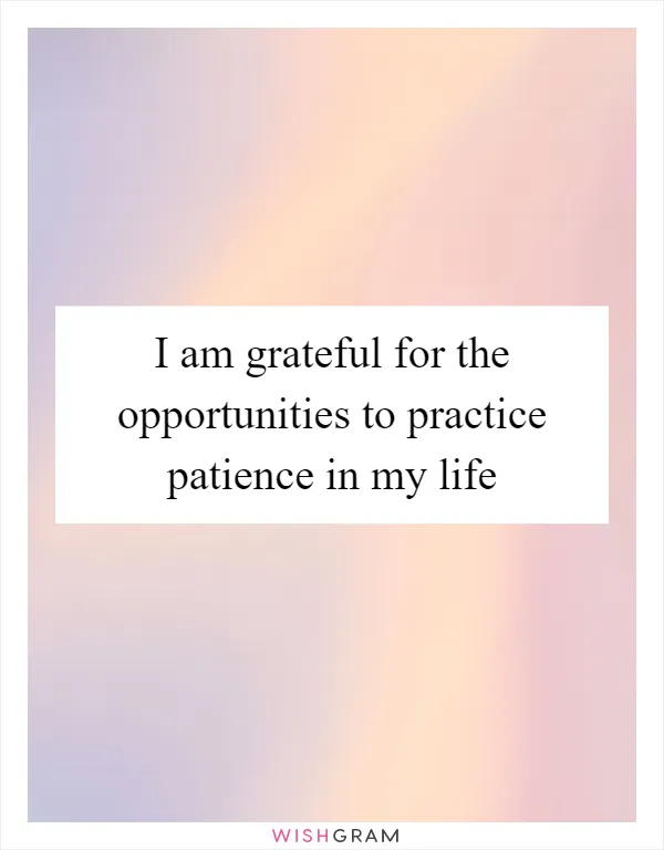 I am grateful for the opportunities to practice patience in my life