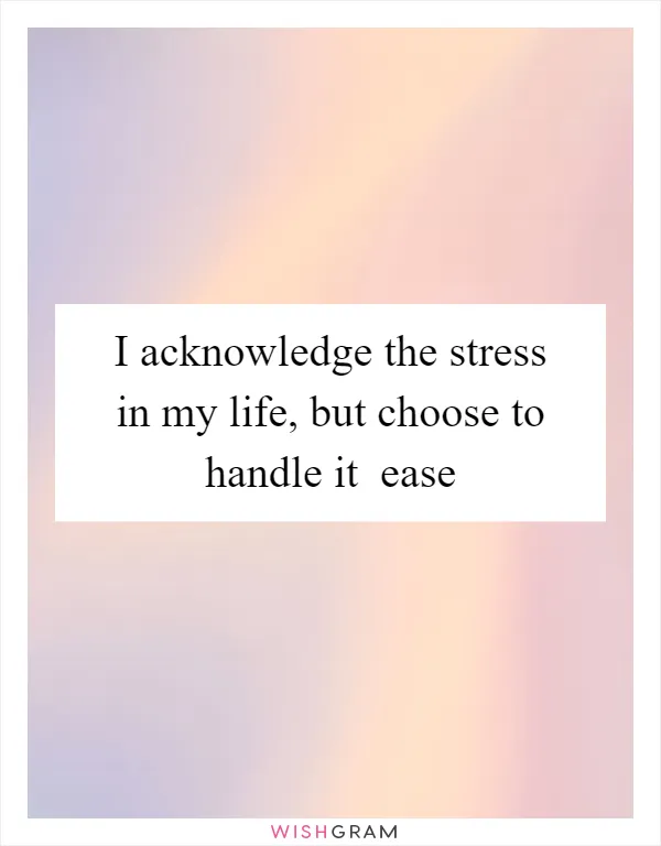 I acknowledge the stress in my life, but choose to handle it  ease